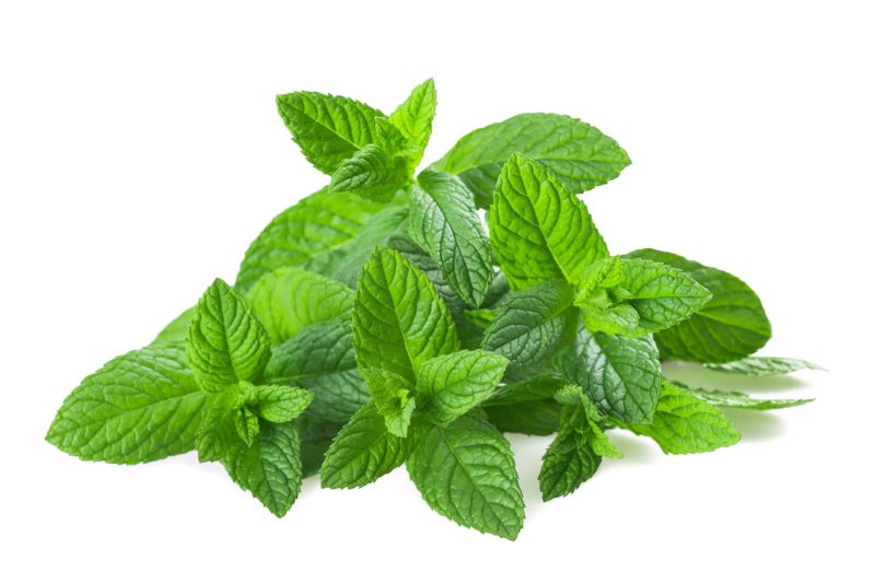 Aromáticos