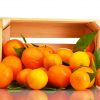 la mandarina - Fruteria de Valencia