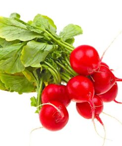 rabano - Frutería de Valencia