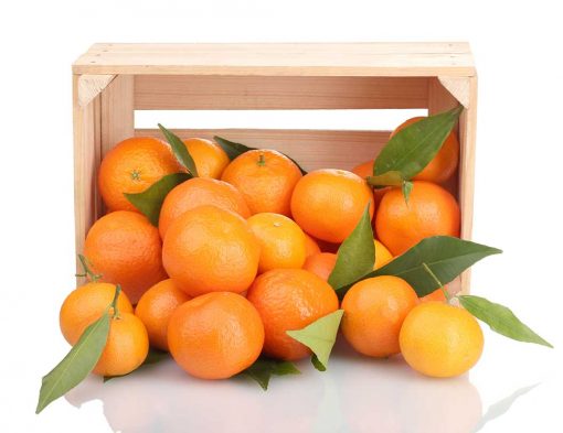 mandarinas y naranjas - Fruteria de Valencia