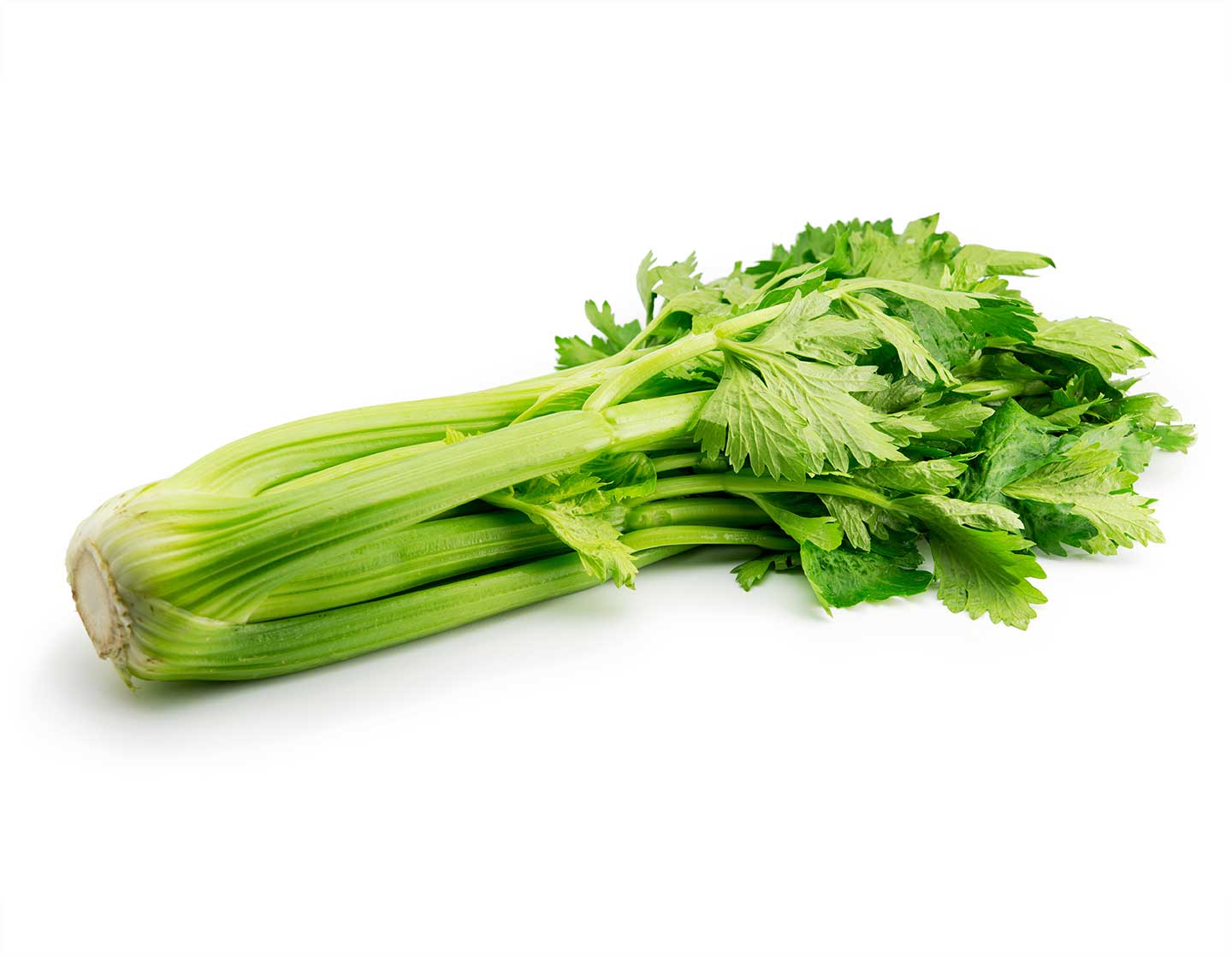 Compra apio Verde Online En Fruter a De Valencia