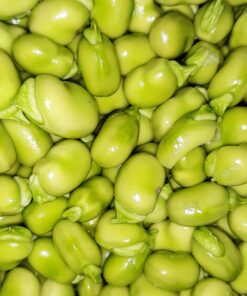 Habas verdes frescas peladas.