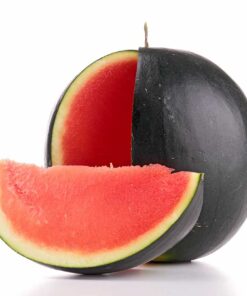 sandia - Frutería de Valencia