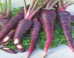 Zanahoria morada o roja-fruteria de valencia