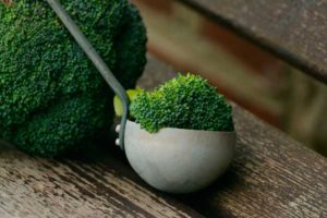 broccoli proteinas vegetales
