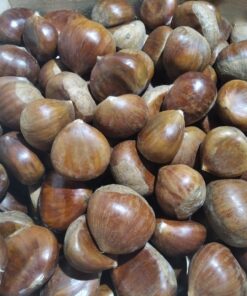 Castañas - 1 kilo