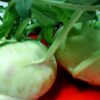 Comprar Colinabo fresco-kohlrabi
